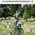 Sheila Hildebrant's profile image