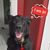 Punky Juarez's profile image