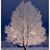 Peggy Robinson's profile image
