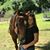 Desiree Lucia's profile image