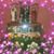 Catalina Sandoval's profile image
