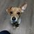 Kelly Egan Ott's profile image