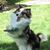 Karen Dawson Columbus's profile image