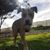 Chris Alderfer's profile image
