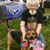 George Spatz's profile image