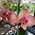 Doreen Waldspurger Hunt's profile image