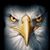 Vern Head's profile image