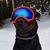 Lindy Dillavou Kreitzer's profile image
