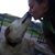Mindy Yajko's profile image