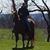 Terri Heffernan-Wood's profile image