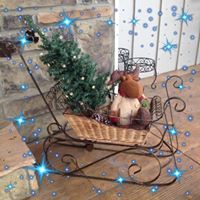 Debbie Cozzetto Grimm's profile image