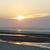 Dorothy Scagnelli Gargaro's profile image