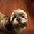 Holly de la Fuente's profile image