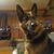 Chet Gibson's profile image