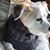 Karol Kay Weakland's profile image