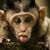 Rc Horton's profile image