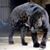 Rodeline Bel Fanm's profile image