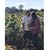 Kelly Nichole Henry's profile image