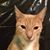Charlotte E. Manasco's profile image