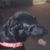 Laurie Baier-Fischer's profile image