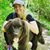 Kristine Dittmer's profile image
