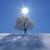 Michelle Moser Mulroy's profile image