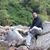 Prithwijit De's profile image