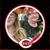 Anita Fulton's profile image