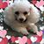 Barbara Boyd Jones's profile image