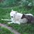 Tracy Arthur's profile image
