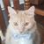 Alexander W. Davis's profile image