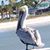Terri Mishaw's profile image