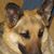 Sharon Sauer's profile image