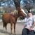 Luis Figueroa's profile image