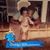Carliesa Goodlett's profile image