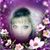 Laura Brock's profile image