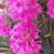 Debbie Houser Truelove's profile image
