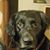 Mike Finley's profile image