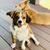 Mark M Kaltenbach's profile image
