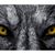 Hector de Anda's profile image