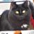 Nancy Beatty's profile image