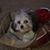 Tracy Hughes Pratt's profile image
