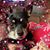 Mary Heiden's profile image