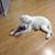 GaryandHeather Fraser Palmbach's profile image