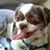 Rob Dybas's profile image
