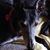 Celeste Policastro's profile image