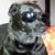 Faintly Macabre's profile image