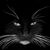 Donna Wilson's profile image
