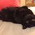 Margo Sparkles's profile image