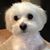 Brenda Barry's profile image